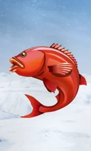 Ice Fishing