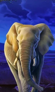 African Elephant
